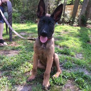 Meet your Posher, John